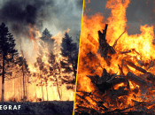 В Україні вирують лісові пожежі: горить одразу в кількох областях, триває евакуація (відео, мапа)