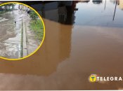 Потоп на Вирлиці