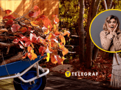 Осінь в саду