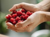 Чем лучше о малине заботиться, тем обильнее она плодоносит