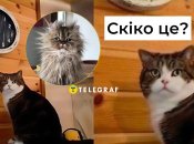 Прикольные картинки, которые зарядят позитивом на целый день