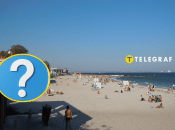 Тваринка стала місцевою зіркою