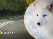 В Украине есть село с одноименным названием животного