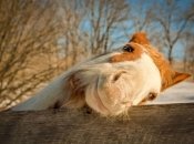 Лучшие фото National Geographic за март