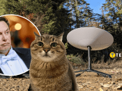 Ілон Маск та кіт