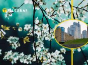 Весна и небоскребы