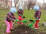Рассказы папы тройняшек: как мы деревья сажали