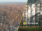 Коллаж "Телеграф"