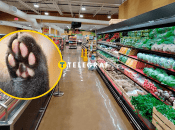 Супермаркет