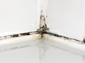 Очистить заплесневелый герметик очень просто