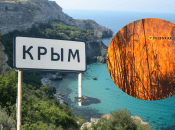 Пожежі у Криму