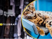 Необычную вещь обсуждают в соцсетях