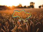 Еврокомиссия предлагает ввести ограничения только временно, до июня