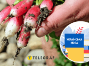 Коллаж "Телеграфа"