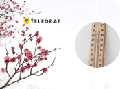 Погода у Києві