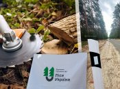 Ліси України