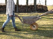 Садовые инструменты нужно содержать в чистоте