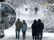 Якою буде погода 15 та 16 січня