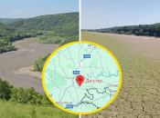 Река Днестр сегодня