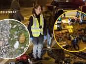 Зловмисники