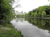 Голосеевский парк