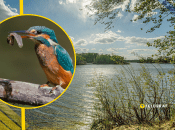 Иллюстративное фото