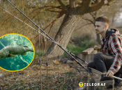 Рыбак с удочками