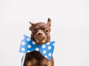 Таких везунчиков еще свет не видел