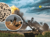 Птицы и война в Украине