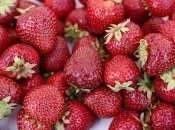 Чем подкармливать клубнику