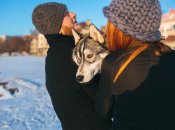 Сегодня 16 января 2024 праздник - Петров день (ранее 29 января)