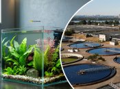 Незвичні рибки в Україні