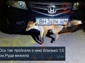 Проехала 1,5 км