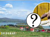 В Ровенской области заметили стаю норок