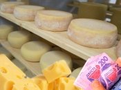 Львиная доля себестоимости сыра приходится на молоко