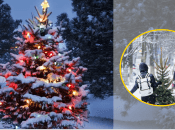 Погода в Україні