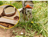 Украинцы находят в земле артефакты