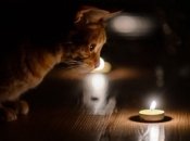 Отключения света в Украине могут стать дольше: в ДТЭК озвучили причину