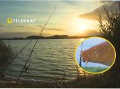 Українець похизувався величезною "золотою рибкою"