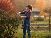 В саду в октябре еще много работы