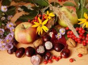 27 августа особое внимание уделяют рябине