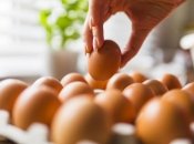 Какие яйца лучше покупать