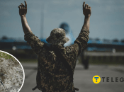 Коллаж "Телеграфа" / Le Parisien