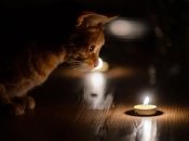 План Б: нардеп ответил, стоит ли уехать из Украины на время блэкаутов