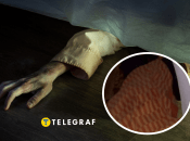 На Одещині жінка зберігала труп сина у квартирі