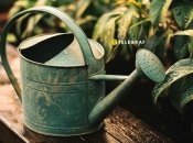 Важливо вибрати правильну температуру води