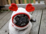 День святого Валентина 2019: украшаем дом к празднику