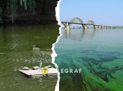 Вода перетворюється на «зелену кашу»