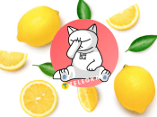 Проблема возникла из-за акции