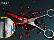 Зброєю вбивства стали ножиці